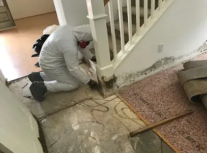 Technician in protective gear removing wet carpet in Beaverton