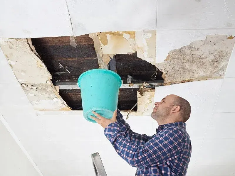 Bucket held under an opened, leaking ceiling in a Beaverton home