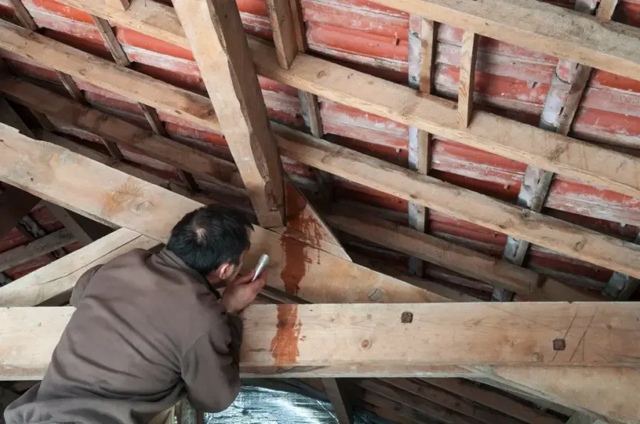 Rain leak trails on attic rafters during a Beaverton roof leak inspection