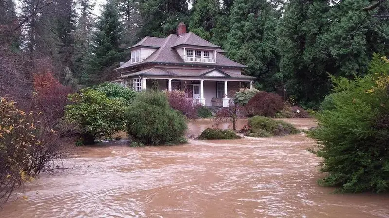 Storm floodwater running through a wooded yard near a Beaverton creek
